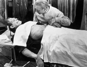 What could possibly go wrong? (Image: SNAP/Rex Features)