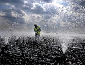 Dirty work (Image: Roger Bamber/Alamy)
