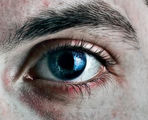 Your new pen (Image: Plainpicture)