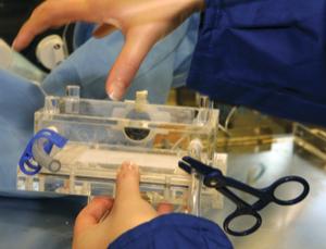 One smal suture for man… (Image: Bill Wade/Pittsburgh Post-Gazette)