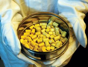 Don't mistake for earplugs (Image: Pallava Bagla/Corbis)