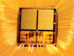 Spikey, and full of neurons (Image: Facets-project.org)