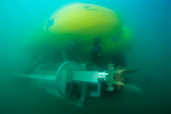 (Image: Alexis Rosenfeld/Science Photo Library)