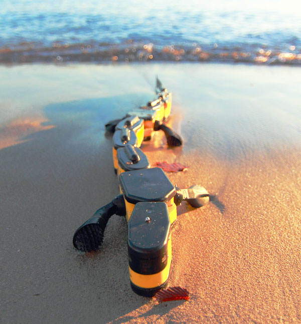 (Image: Kostas Karakasiliotis, Biorobotics Laboratory, EPFL)