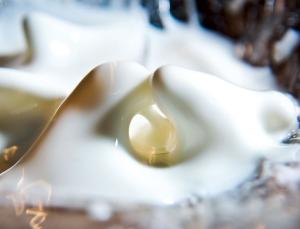 Oobleck turns solid underfoot (Image: Rory MacLeod)