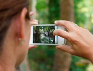 For visually impaired users, most smartphone camera apps leave something to be desired (Image: Victor Jori/Getty)