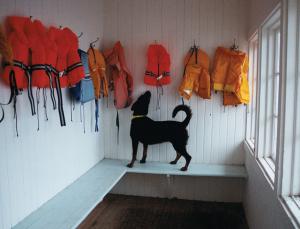 It'll put you out of a job, pal (Image: Max Brouwers)