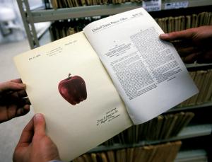 Easy money if you own lots (Image: James Leynse/Corbis)