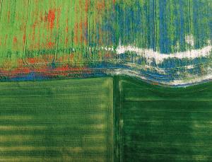 Spot the weeds (Image: Kacper Kowalski/Panos)