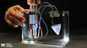 I never promised you a robot garden