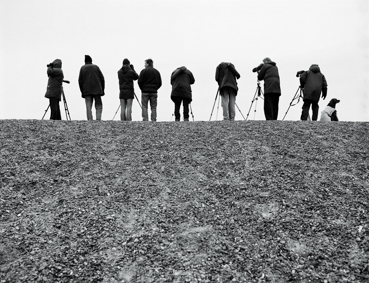Naturalists are having a ball (Image: Mark Power/Magnum)
