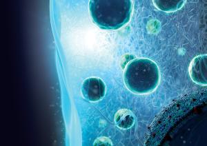 An artist's impression of light-sensitive cells encapsulated in an implanted gel (Image: Harvard Bio-Optics Lab)