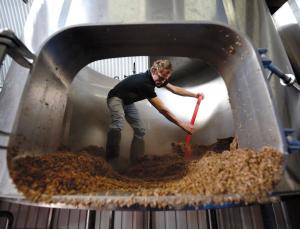 Grains of possibility (Image: Luke Macgregor/Reuters/Corbis)