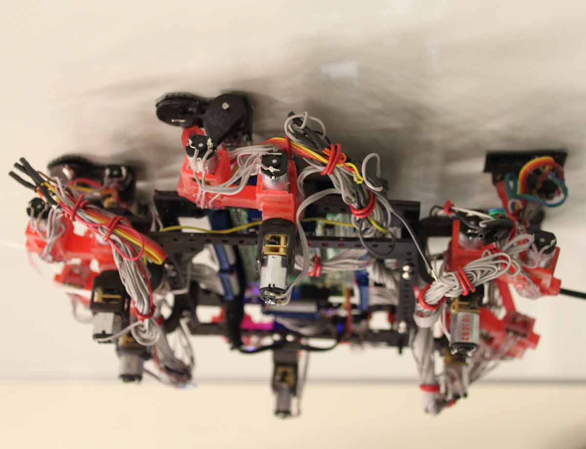 (Image: Simon Fraser University School of Engineering Science/MENRVA)