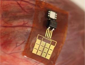 Harnessing the power within(Image: University of Illinois and University of Arizona)